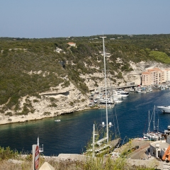 DSC1850