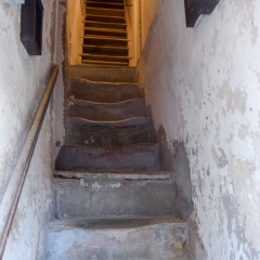 DSC1852