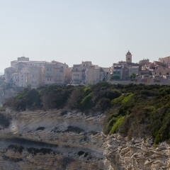 DSC1853