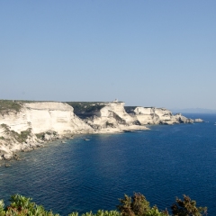 DSC1854