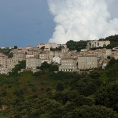 DSC1865