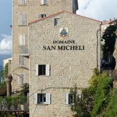 DSC1866