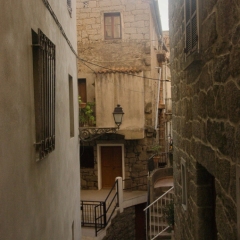 DSC1868