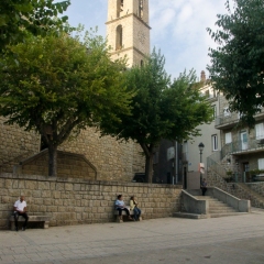 DSC1869