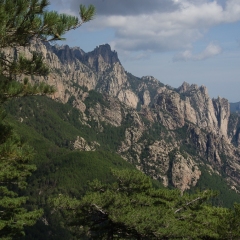 DSC1874