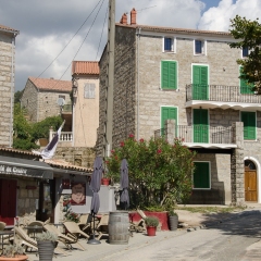 DSC1886
