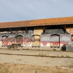 DSC1909