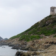 DSC1914