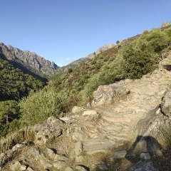 3502-Corte-Gorges-de-Tavignano