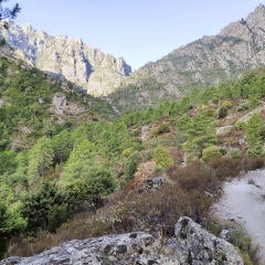 3505-Corte-Gorges-de-Tavignano