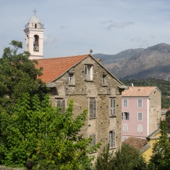 DSC1933