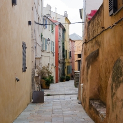 DSC1982