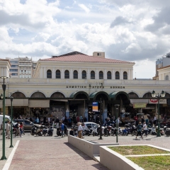 DSC2517