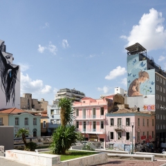 DSC2518