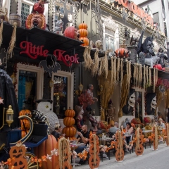 DSC2534