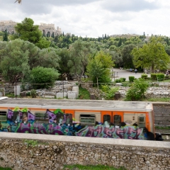 DSC2539