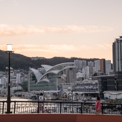 DSCF0224