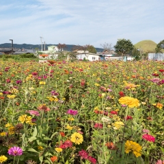 DSCF0316