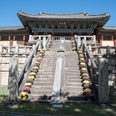 DSCF0322