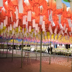 DSCF0325