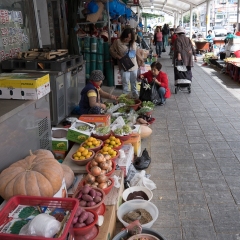 DSCF0367