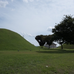 DSCF0371