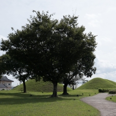 DSCF0372