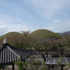 DSCF0373