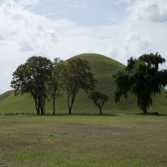 DSCF0374