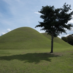 DSCF0376