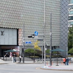DSCF0452