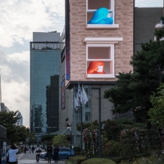 DSCF0491
