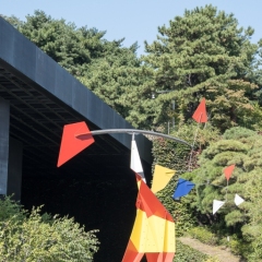 DSCF0542