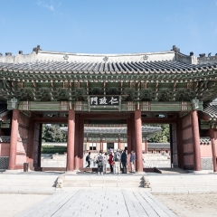 DSCF0563