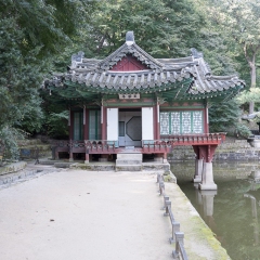 DSCF0568