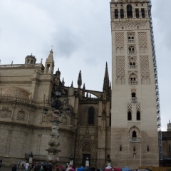 DSC2677