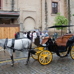 DSC2680