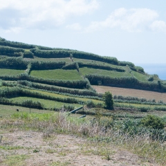 DSCF0964