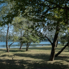 DSCF0997