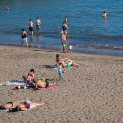DSCF1042