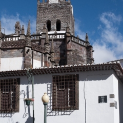 DSCF0707