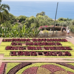 DSCF0725