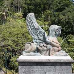 DSCF0747