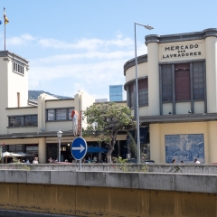 DSCF0810