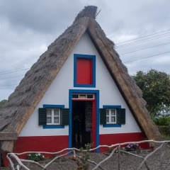 DSCF0850