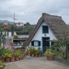 DSCF0851