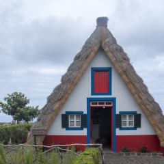 DSCF0854