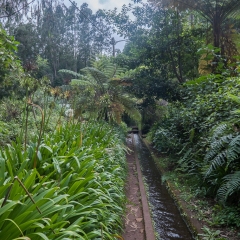 DSCF0858