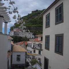 DSCF0886