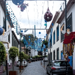 DSCF0911